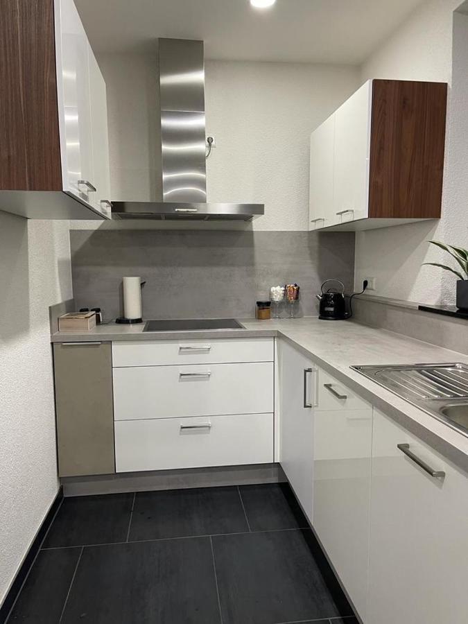 2 Zimmer Wohnung Zur Taegliche Miete Hechingen Ngoại thất bức ảnh